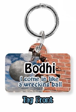 Wreaking Ball Dog Tag