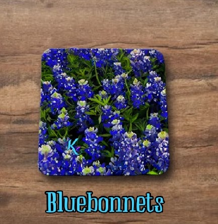 Flower Coasters (4 pack) - Mix and Match