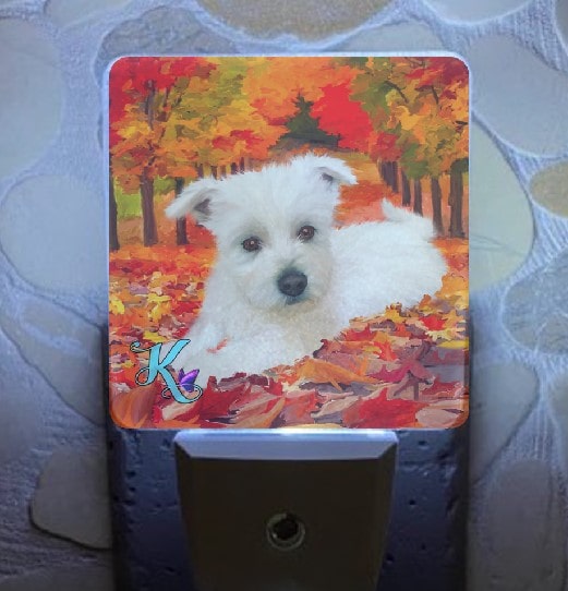 Falling for Westie Nightlight