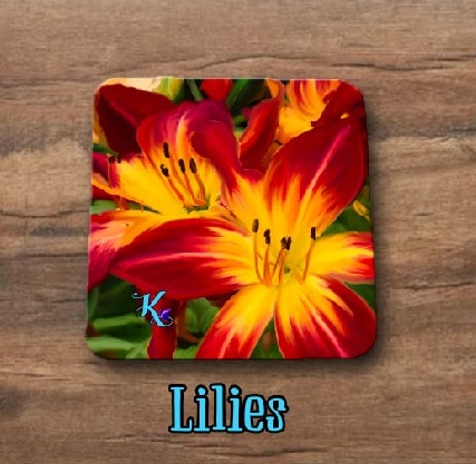 Flower Coasters (4 pack) - Mix and Match