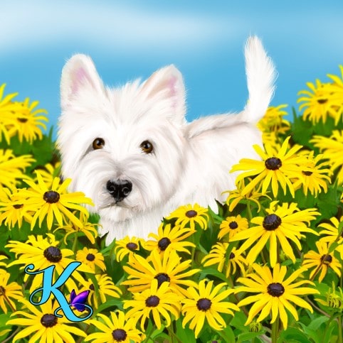 Black-eyed Susan Westie Nightlight