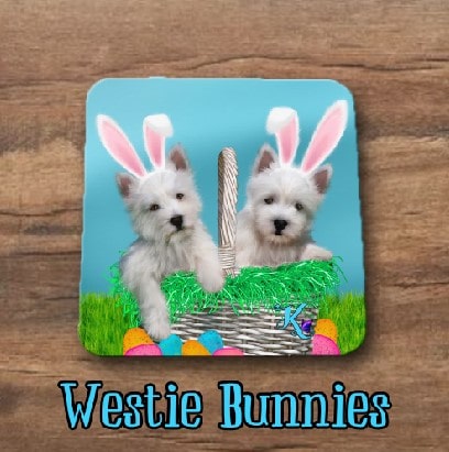 Westie Coasters (4 pack) - Mix and Match